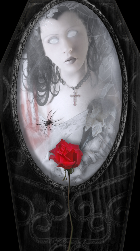 Alternative vision 1160747988 i 1304 full